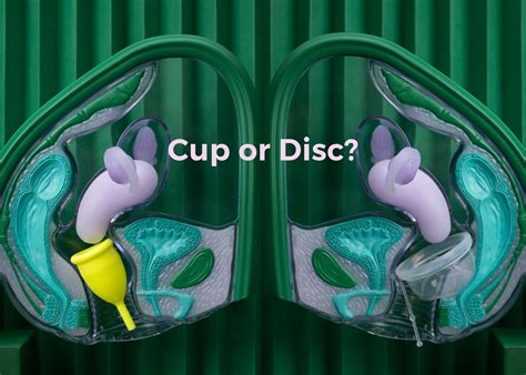 Menstrual Disc Vs Cup Heres How To Choose — Period Nirvana