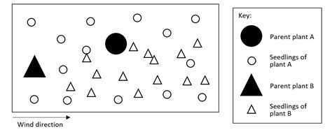 Reproduction in Plants Seed Dispersal Diagram – The Science Shifu