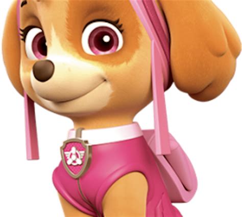 Paw Patrol 3rd Birthday Png