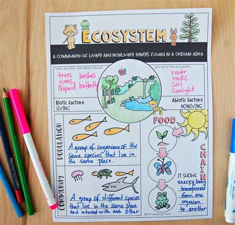 Ecosystem Review Worksheet | Science classroom, Ecosystems, Science lessons middle school