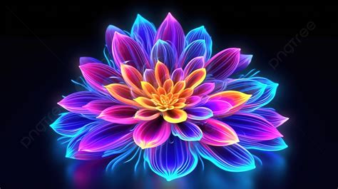 2102 Glowing Flower Photos Pictures And Background Images For Free