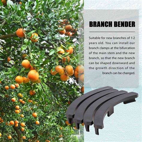 10pcs Fruit Tree Shaper Branch Bender Plant Trainer Bending Clips