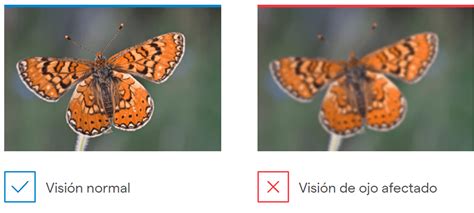 Cómo dejar de ver borroso Guía práctica