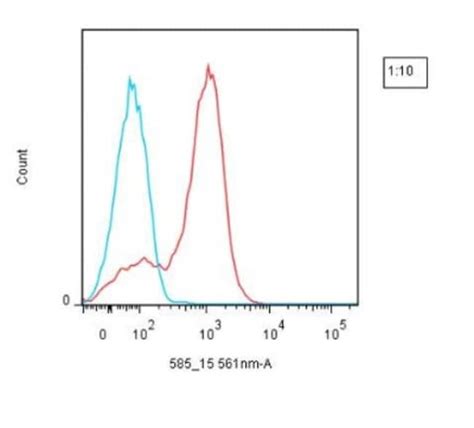 Novus Biologicals Lightning Link R Rapid Atto565 Antibody Labeling