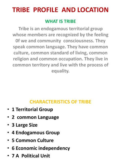 tribal population distribution  characteristics  india