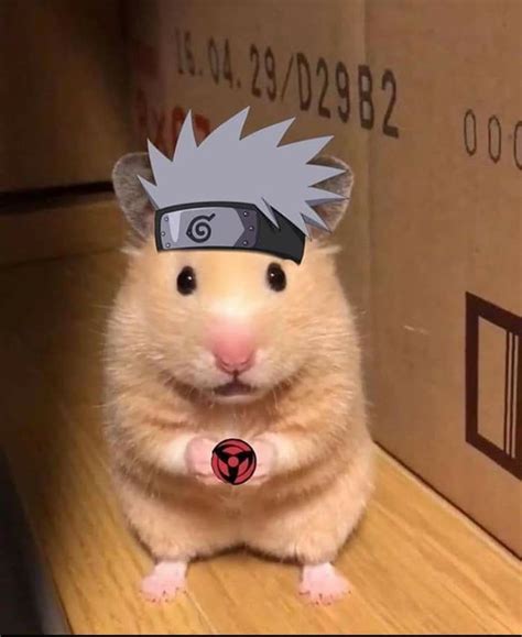 The Best 13 Hamster Meme Pfp Naruto Quotefrontage