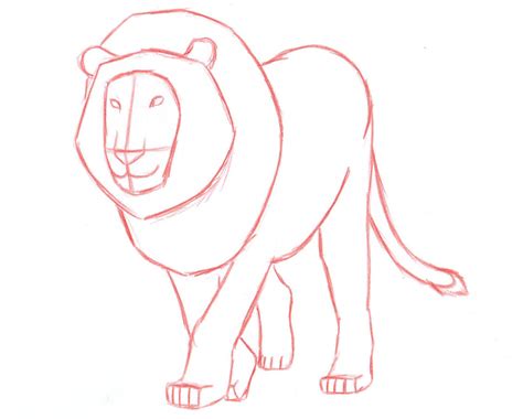 How to Draw a Lion: Step by Step - Liron Yanconsky