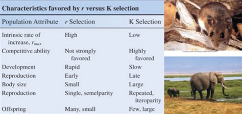 Ecology Exam 4 Flashcards Quizlet