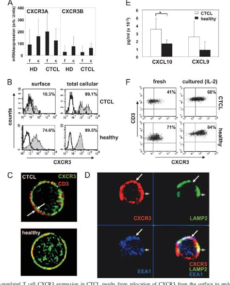 Figure 5 From Down Modulation Of Cxcr3 Surface Expression And Function