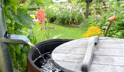 Comment fonctionne un récupérateur d eau de pluie Jardiland