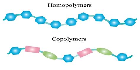 Difference Between Homopolymer And Copolymer