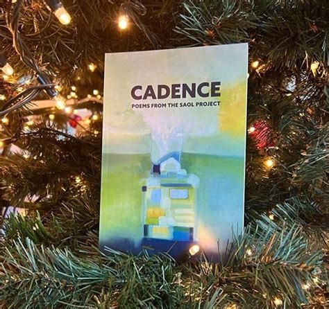 Cadence Poetry Book launched