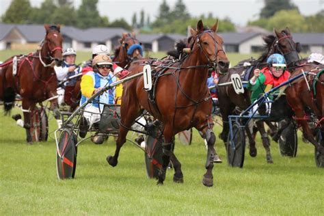 Old firm combine at Mt Harding Racecourse - Harnesslink