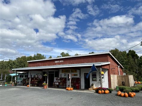 Picking The Best Apple Orchards In Vermont