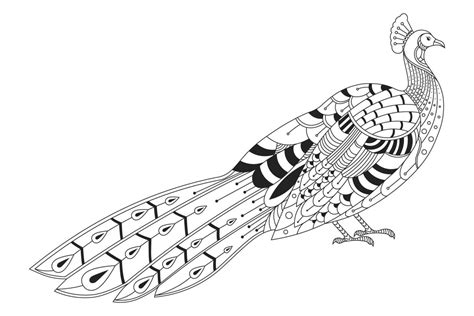 Cute Peacock Doodle Style Black And White Background Funny Bird Coloring Book Pages Hand