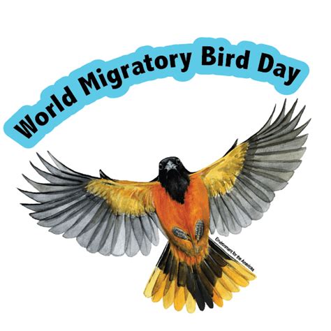 World Migratory Bird Day Philippines Calendar Berrie Tammie