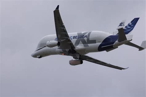 Beluga Xl F Gxlh Xfw Iann Spott Flickr