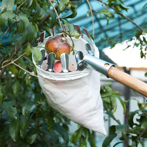 Garden Fruit Picker Catcher Horticultural Gardening Apple Peach Picking