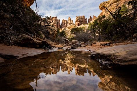 Still Puddle Reflects Hoodoos In The Needles Stock Image Image Of