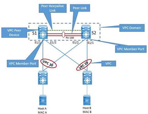 Attaching Devices To Vpc Domain Dclessons