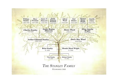 family tree chart  large  small families customised layout
