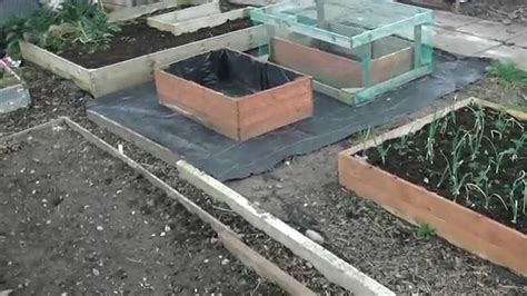 Poly Tunnel Update Allotment Youtube