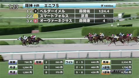 【99 エニフsほか】阪神ダイジェストjraレース結果 競馬予想動画 Netkeiba