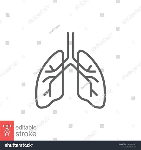 Icon Pulmonology Photos And Images And Pictures Shutterstock