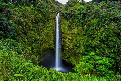 How To Visit Gorgeous Akaka Falls State Park Map