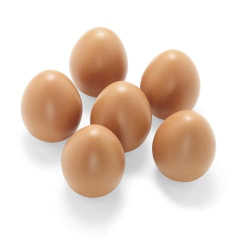 Eggslipp Gratis Undervisningsopplegg