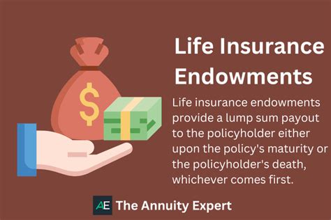 How Life Insurance Endowments Work 2023