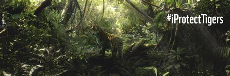WWF UK (@wwf_uk) | Twitter
