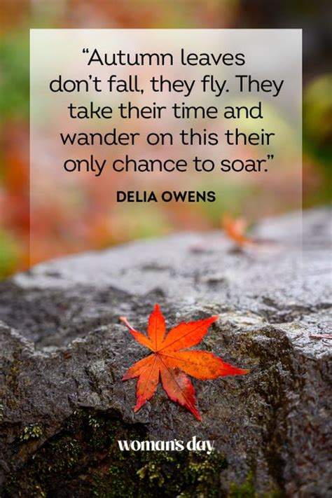 55 Best Fall Quotes For 2022 Beautiful Sayings About Autumn