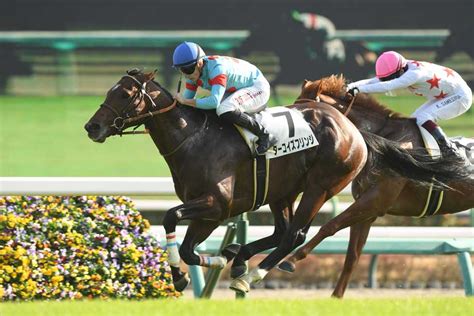 【2歳新馬・中山5r】ターコイズフリンジが中団から豪快に追い込み快勝 サンスポzbat