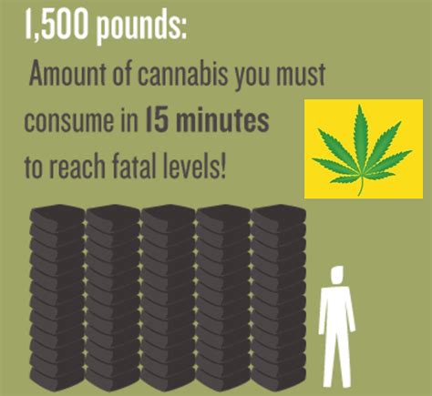 This Is Why You Could Never Overdose or Die From Marijuana