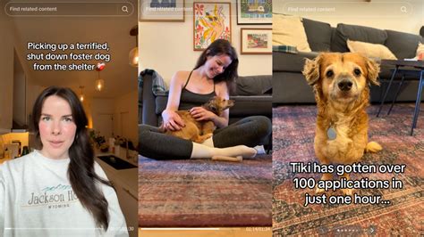 The viral TikTok dog who stole the internet's heart is now ready for ...