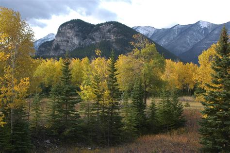 Tunnel Mountain Banff | Canadian Rocky Mountain Resorts