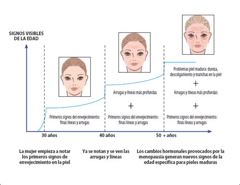 Datos Curiosos Envejecimiento De La Piel