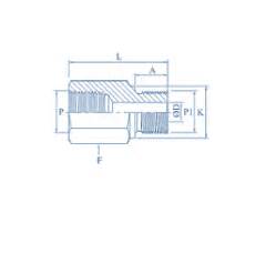 Ss Adapter Npt