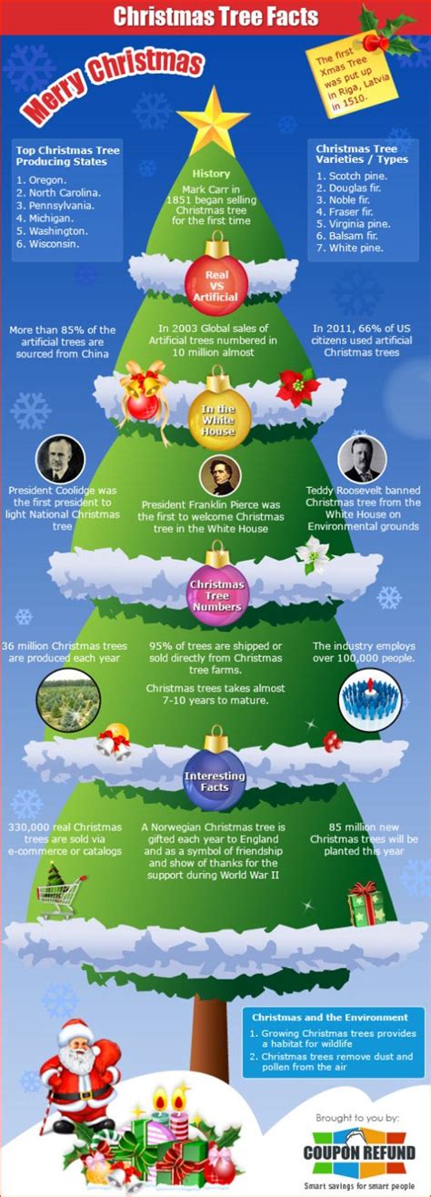 Top Christmas Tree Infographics