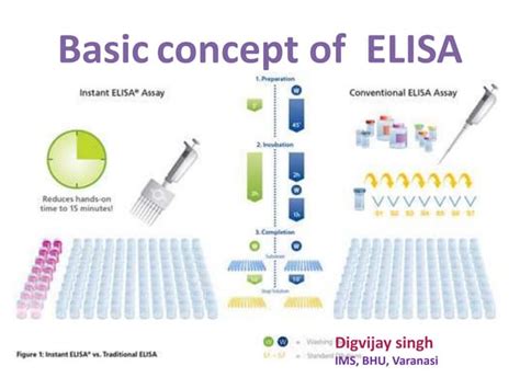 Presentation Elisa Ppt Ppt