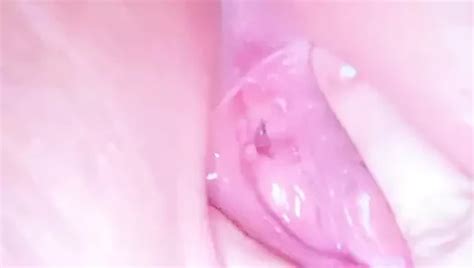 Queen BBW Porn Videos Sex Model Nudes XHamster