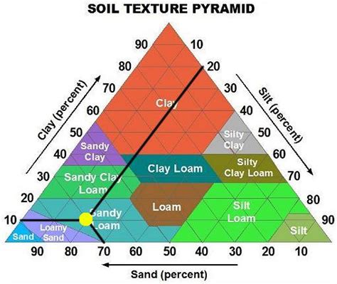 Soil Pyramid Yennie Ho Apes