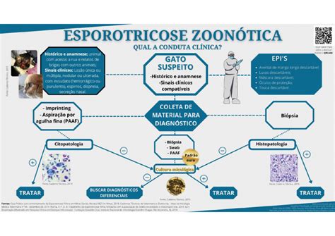 Cartilha Esporotricose Zoonótica Escola de Veterinária UFMG