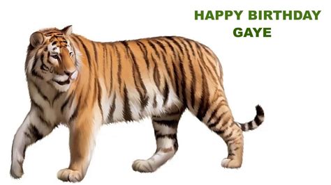 Gaye Animals And Animales Happy Birthday Youtube