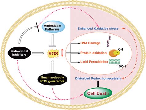 Ros Journal Of Medicinal Chemistry X Mol