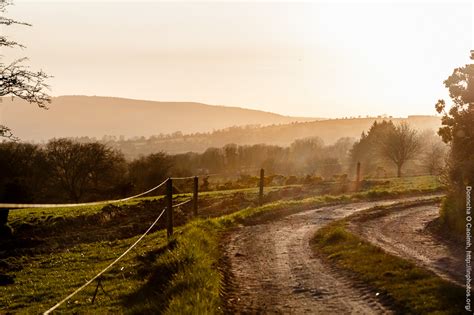 Dirt Road and Sunset