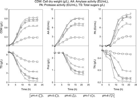 Time Course Of Cell Dry Weight Amylase And Protease Activity And