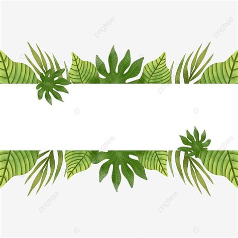 Bingkai Daun Tropis Bingkai Leaves Hiasan Undangan Png Transparent