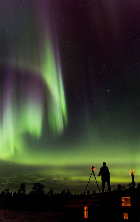 Exclusive Photography Trip To Sweden Golden Eagles And Black Grouses